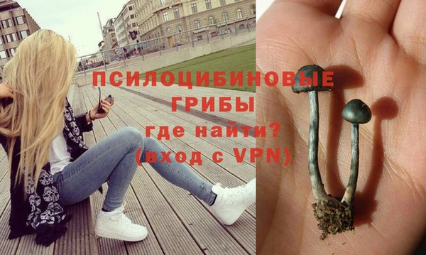 прущие крисы Верея